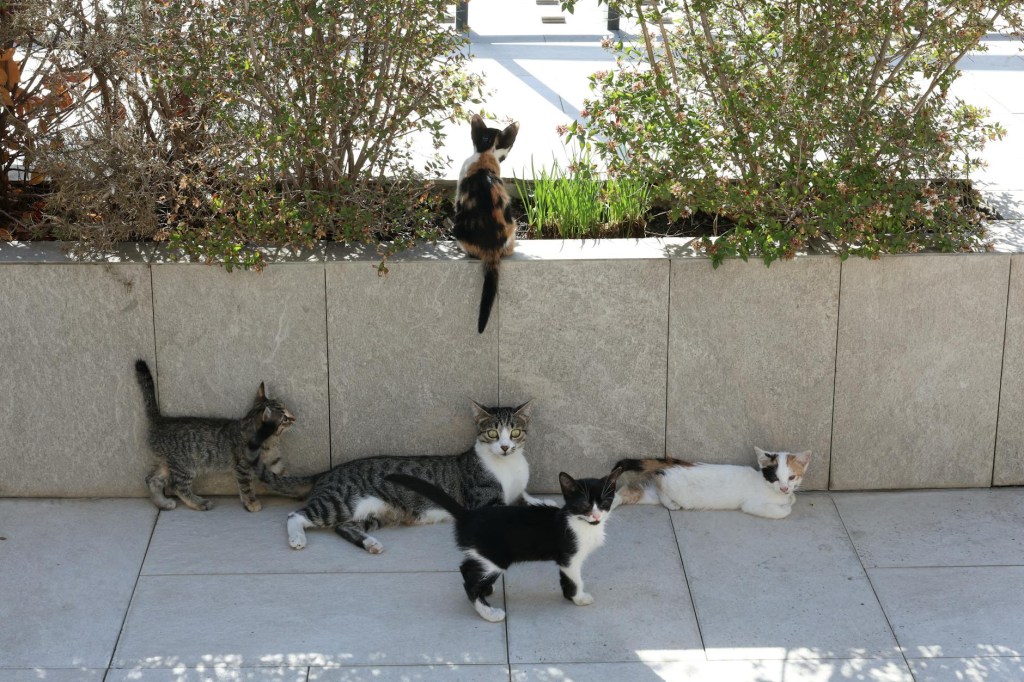 How to Write a Module: An Incoherent&nbsp;Play-by-Play